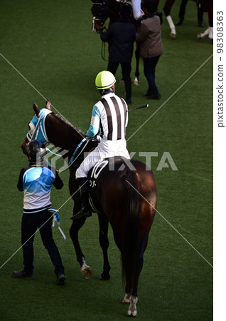 Paddock landscape 98308363