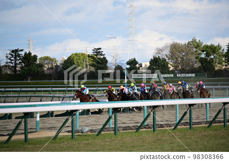 Horse race Horse race 98308366