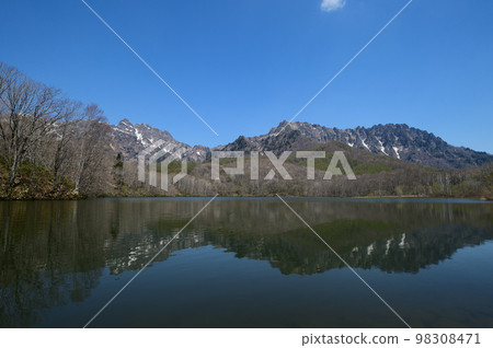 五月的戶隠鏡池是殘雪新綠的季節 五月的戶隠鏡池是殘雪新綠的季節 98308471