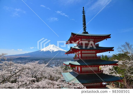 日本風景之美:五層寶塔、櫻花、富士山 日本風景之美:五層寶塔、櫻花、富士山 98308501