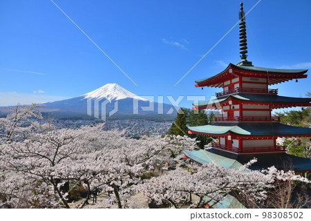 日本風景之美:五層寶塔、櫻花、富士山 日本風景之美:五層寶塔、櫻花、富士山 98308502