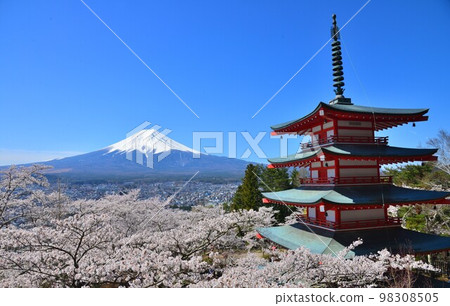 日本風景之美:五層寶塔、櫻花、富士山 日本風景之美:五層寶塔、櫻花、富士山 98308505