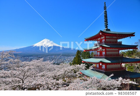 日本風景之美:五層寶塔、櫻花、富士山 日本風景之美:五層寶塔、櫻花、富士山 98308507
