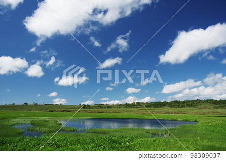 Pond where summer clouds run Pond where summer clouds run 98309037