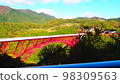 Orochi Loop Bridge-1 98309563