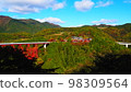 Orochi Loop Bridge-2 98309564