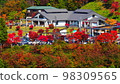 Autumn leaves orochi loop 98309565