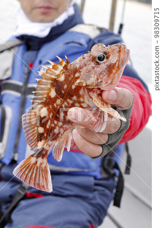 船釣釣到的石斑魚 98309715