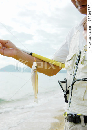 Shark caught by casting Shark caught by casting 98309721