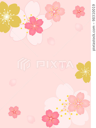 Cherry Blossom Cherry Blossom 98310019