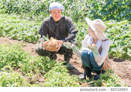 女人、男人、農民夫婦和在田裡收割蔬菜的生產者(亞洲人、日本人、中國人) 女人、男人、農民夫婦和在田裡收割蔬菜的生產者(亞洲人、日本人、中國人) 98310065