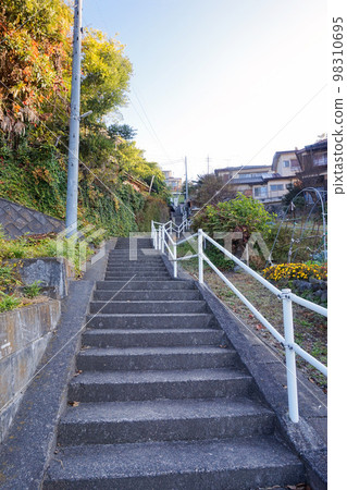 Tunnel Slope (Dangozaka) [River Terrace Slope, Numata City, Gunma Prefecture] 98310695