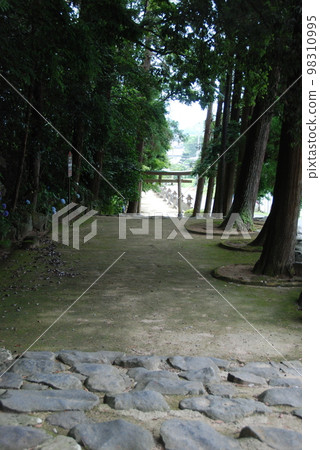 神靈（Okasu）神社的石階（大和町，松江市島根縣） 98310995