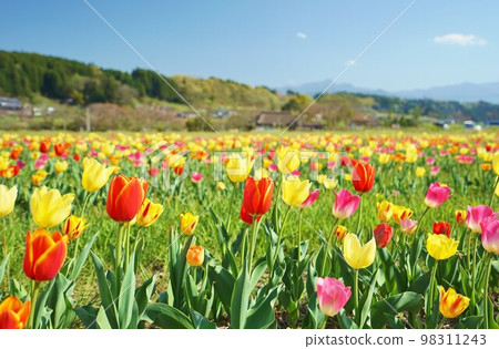 Harajiri Falls, Bungo-Ono City, Oita Prefecture Chu Lip Festa 98311243