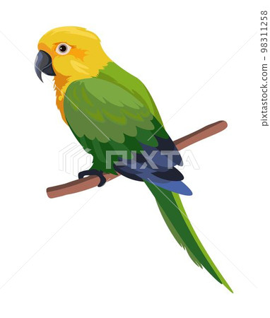 Colorful parrot sitting on branch, portrait bird Colorful parrot sitting on branch, portrait bird 98311258
