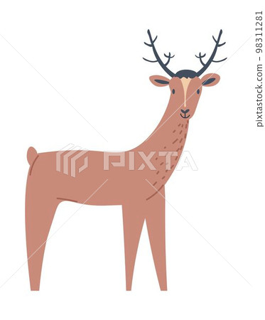 Deer animal, hoofed grazing animal portrait vector Deer animal, hoofed grazing animal portrait vector 98311281