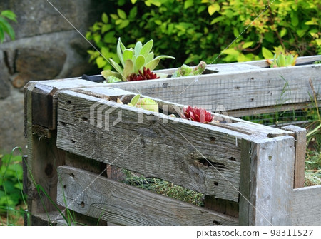 Detail of decorated composter with organic waste from pallet 98311527