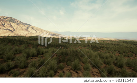 Mohave Desert landscape with blue cloudy skies Mohave Desert landscape with blue cloudy skies 98311547
