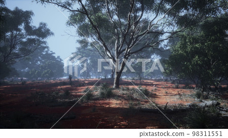 Coastal vegetation with trees and shrubs 98311551