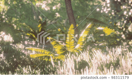 Morning light in beautiful jungle garden Morning light in beautiful jungle garden 98311579