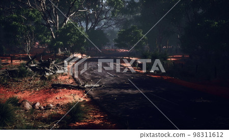 Jungle road in Baluran Park in Indonesia Jungle road in Baluran Park in Indonesia 98311612