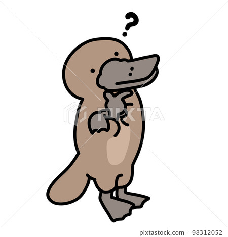 帶著疑問表情的鴨嘴獸 帶著疑問表情的鴨嘴獸 98312052