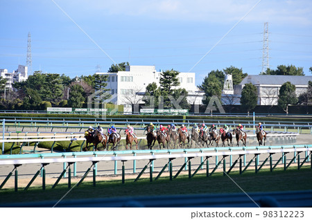 Horse race Horse race 98312223