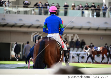 Paddock landscape 98312226