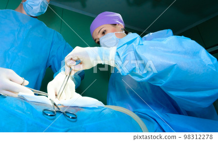 A female surgeon operates on a patient with surgical instruments A female surgeon operates on a patient with surgical instruments 98312278
