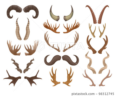 Cartoon wild animals horn, horned moose, reindeer and antelope antlers. Mammals hunting trophy, buffalo, ram and goat horns flat vector symbols set. Forest animals horn bundle 98312745