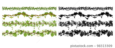 Cartoon jungle liana branches, hanging creepers seamless dividers. Tropical green liana plants with flowers and foliage flat vector illustration set. Jungle rainforest lianas silhouettes Cartoon jungle liana branches, hanging creepers seamless dividers. Tropical green liana plants with flowers and foliage flat vector illustration set. Jungle rainforest lianas silhouettes 98313309