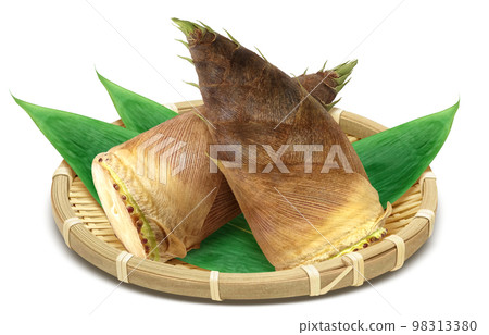 竹筍插圖真實 98313380