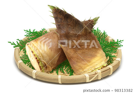Bamboo shoots illustration real 98313382