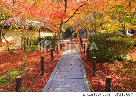 Eikando in autumn (Kyoto City) Eikando in autumn (Kyoto City) 98313667