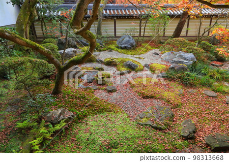 秋天的永觀道(京都市) 秋天的永觀道(京都市) 98313668