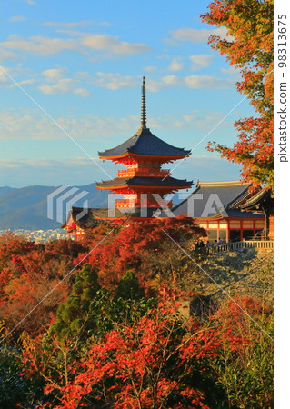 Three-storied pagoda in autumn (Kiyomizu Temple, Kyoto City, vertical composition) Three-storied pagoda in autumn (Kiyomizu Temple, Kyoto City, vertical composition) 98313675