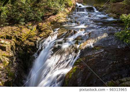 Beautiful scenery of the Kikuchi Gorge with beautiful autumn colors in autumn 98313965