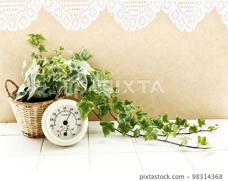 Thermometer and ivy_top of tile_front Thermometer and ivy_top of tile_front 98314368