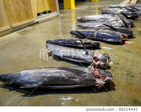 與那國久浦漁港 98314442