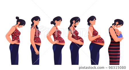 Pregnant woman or pregnancy period, vector banner. Pregnant woman or pregnancy period, vector banner. 98315080