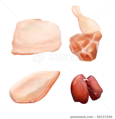 chicken Cuts of food meat set. watercolor vector illustration chicken Cuts of food meat set. watercolor vector illustration 98315500