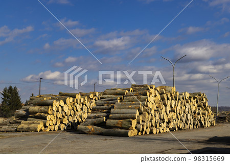wooden logs on the open air 98315669