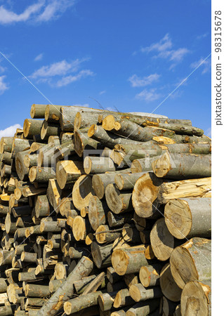 wooden logs on the open air 98315678