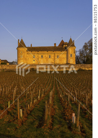 Chateau de Rully castle, Saone-et-Loire departement, Burgundy, France 98315753