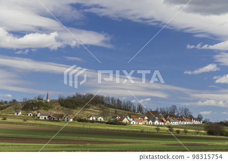 Traditional wine cellars with vineyard in Galgenberg near Wildendurnbach, Lower Austria, Austria 98315754