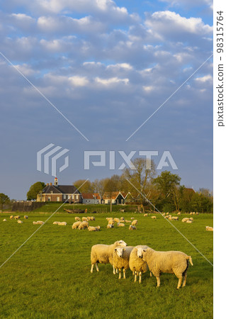 Former island of Schokland, UNESCO World Heritage Site, Netherlands 98315764