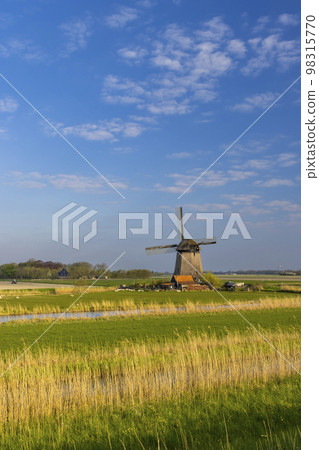 windmill in Noord Holland, Netherlands 98315770