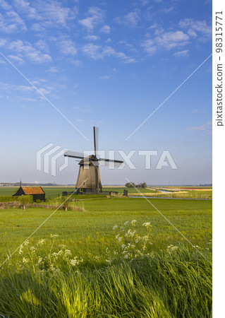 windmill in Noord Holland, Netherlands 98315771