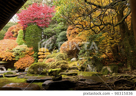 本陣岩波家庭花園 98315836