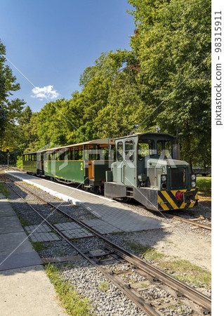 narrow gauge railway in Gemenc-Dunapart, Hungary 98315911
